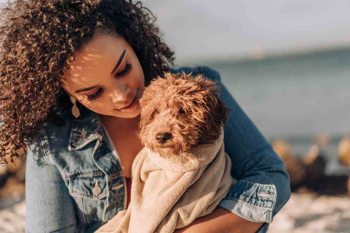 Goldendoodle Must Haves: Veterinarian-Approved Must-Haves For Your New Goldendoodle Puppy 2