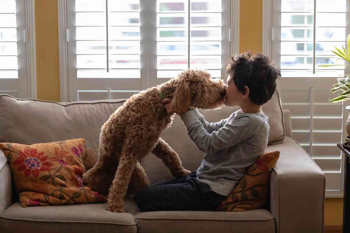 Are Goldendoodles Good With Kids? 1