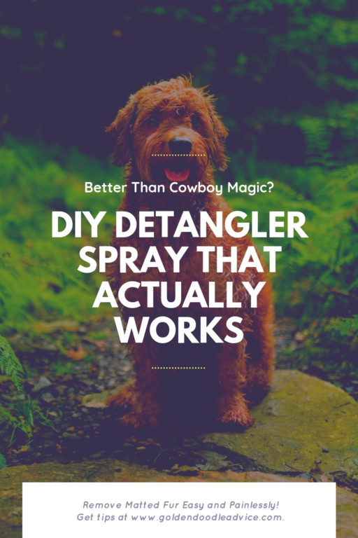 BetterThanCowboyMagic_DIYDetanglerSpray Goldendoodle Advice