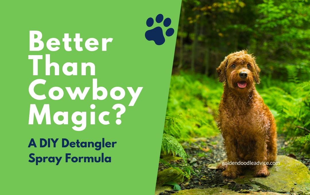 Better Than Cowboy Magic? This Diy Detangler Spray Is Amazing! Diy Detangler Spray Formula For Dogs Goldendoodles Cowboy Magic