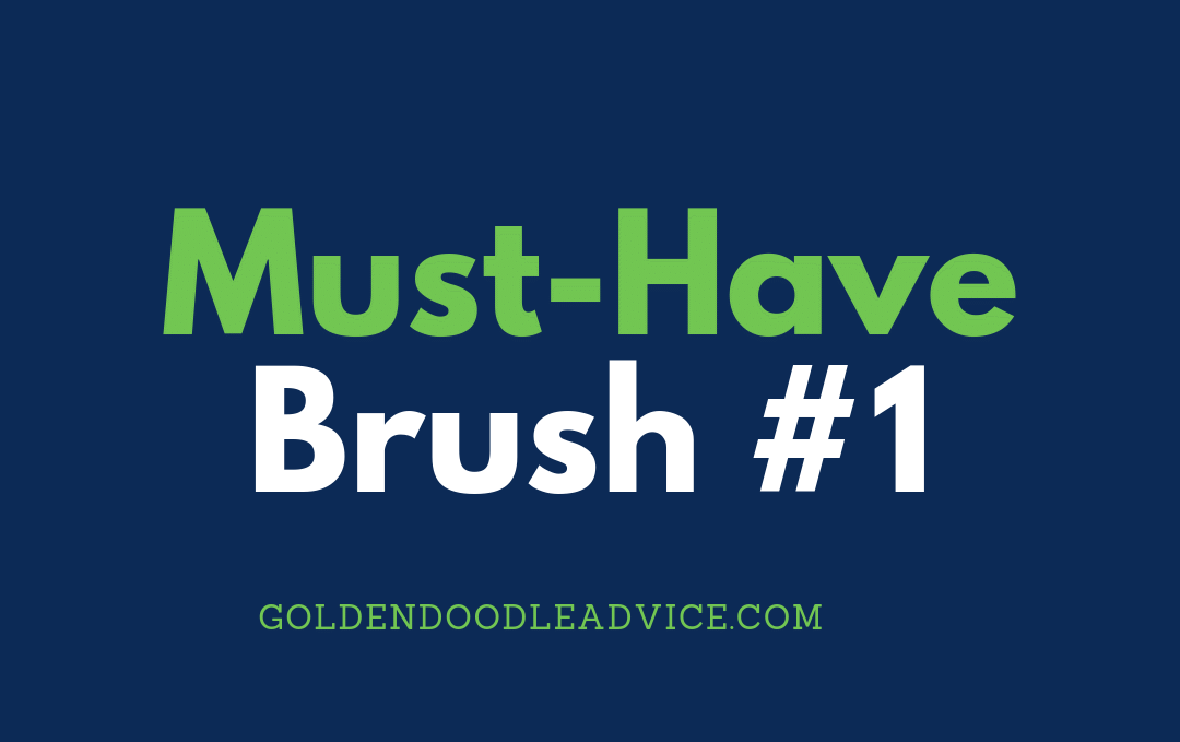 Goldendoodle MustHave Brush 1