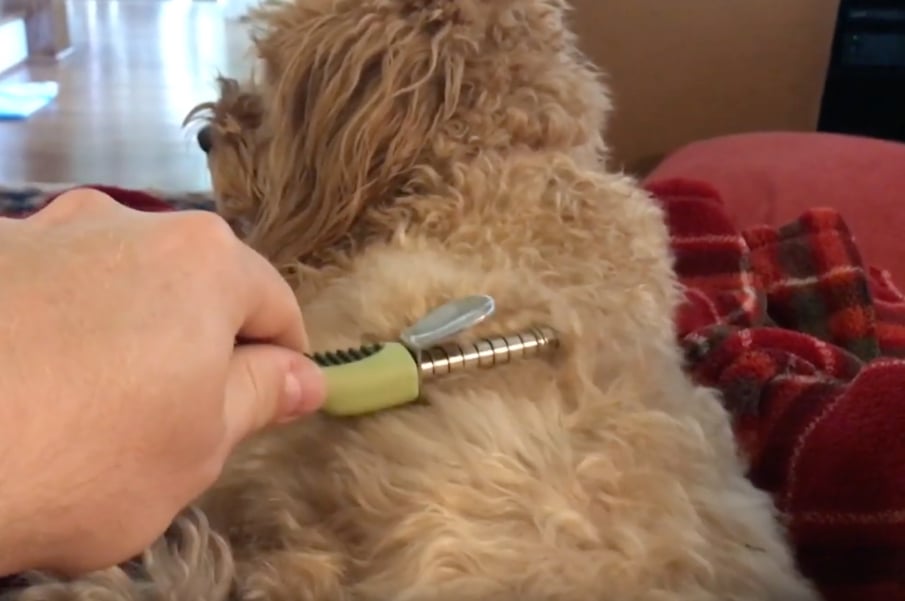 best comb for matted dog hair