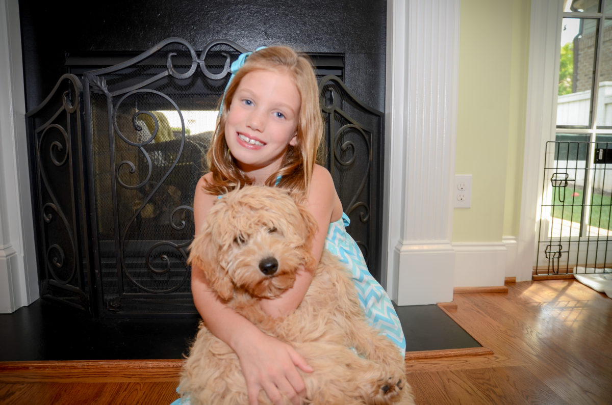 goldendoodle with kids