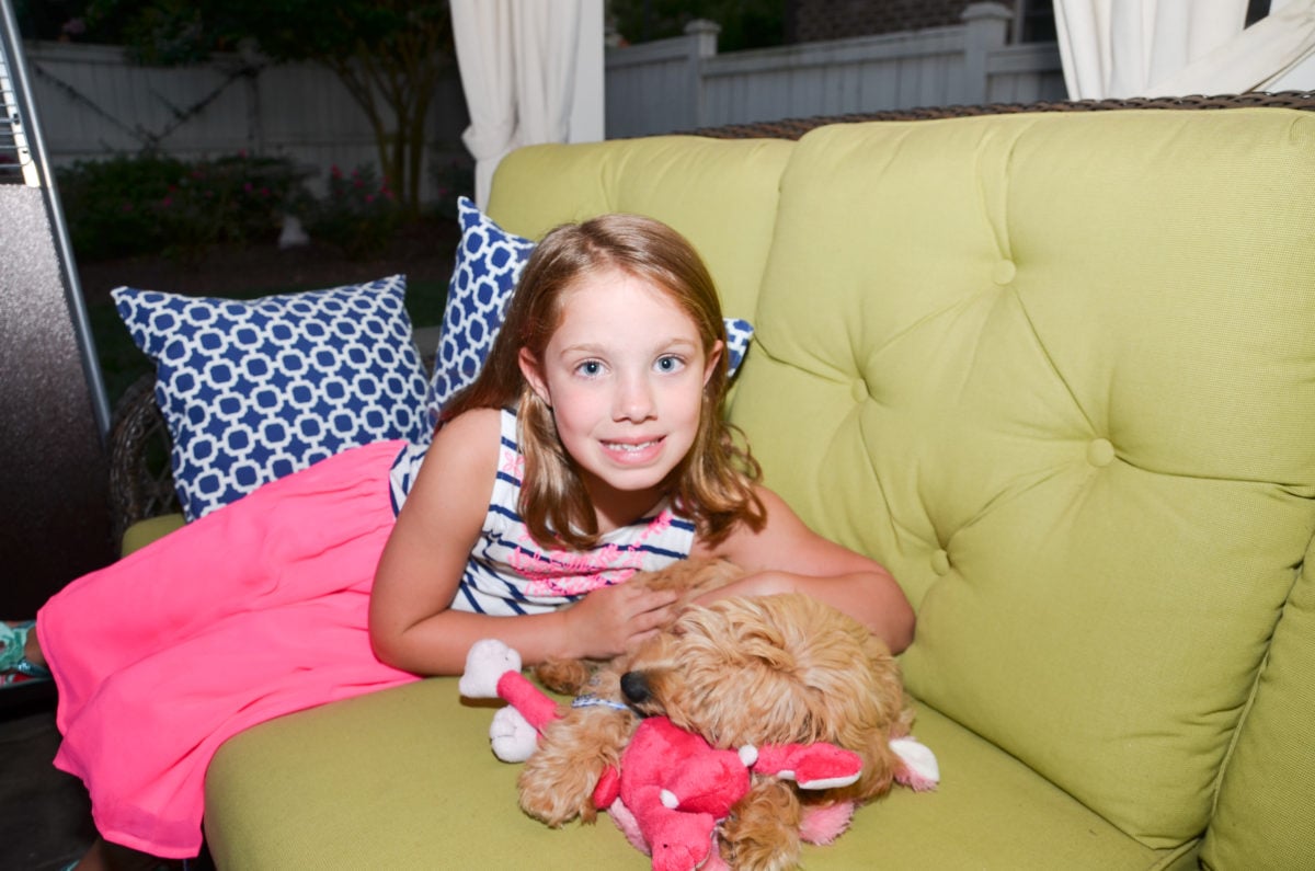 Are Goldendoodles Good With Kids? A Guide For Parents