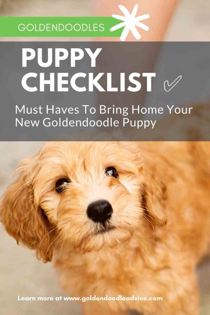 Puppy Checklist – Must Haves To Bring Home Your New Goldendoodle Puppy ...