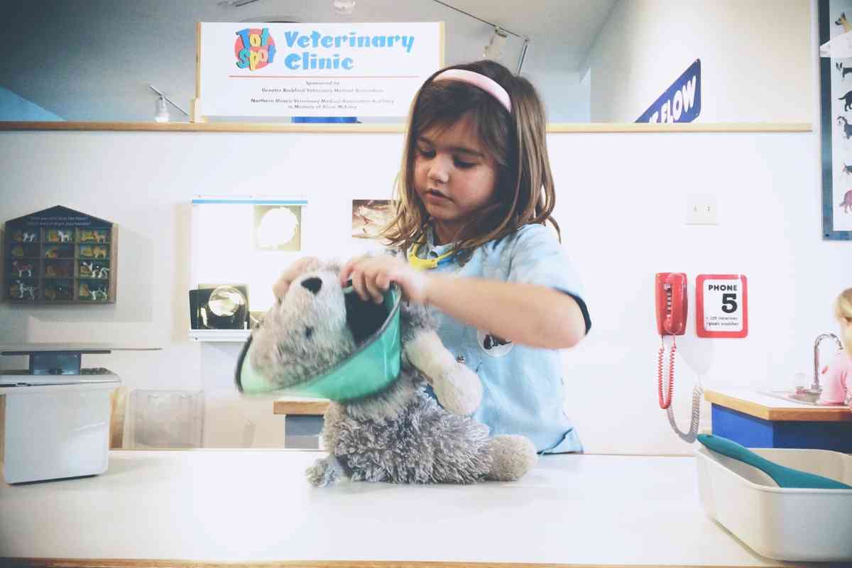 when to spay a goldendoodle