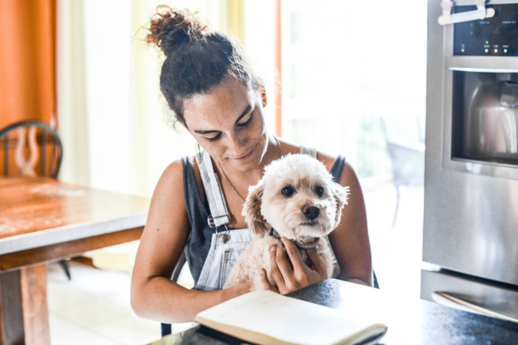 what to do about goldendoodle hair loss & bald spots