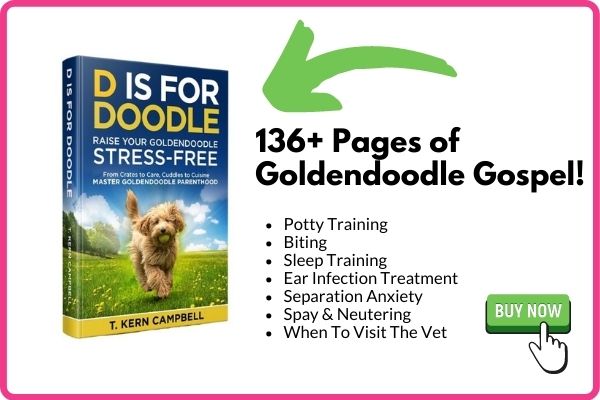 Best Goldendoodle Book