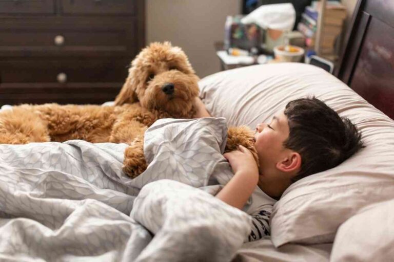 Do Goldendoodles Like To Sleep With You?