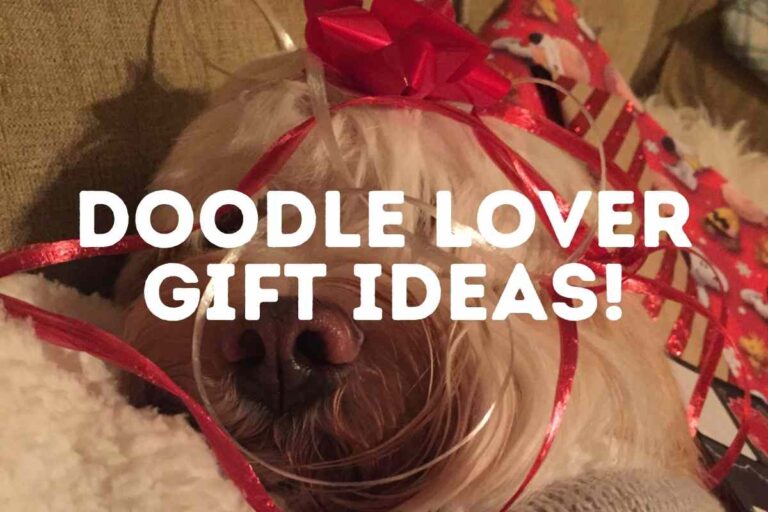 10 Creative Gift Ideas For The Goldendoodle Lover!