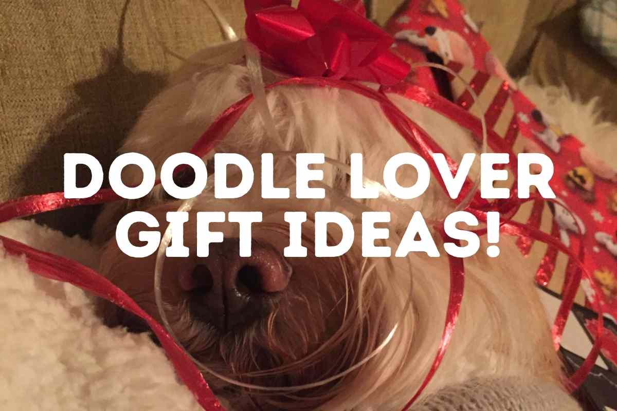 Gift Ideas For The Doodle Lover!