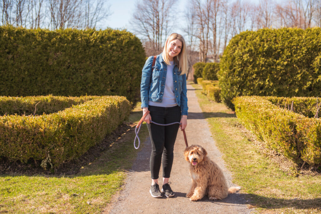 My Goldendoodle Is Out Of Control! Are Goldendoodles Crazy?! 6