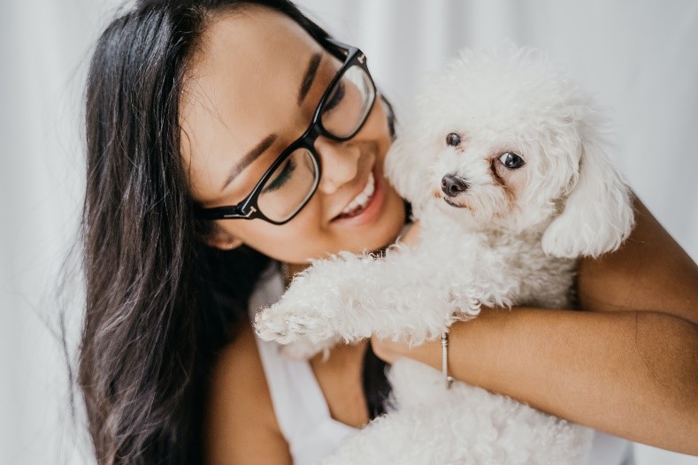 Dog Playing Playing With Owner