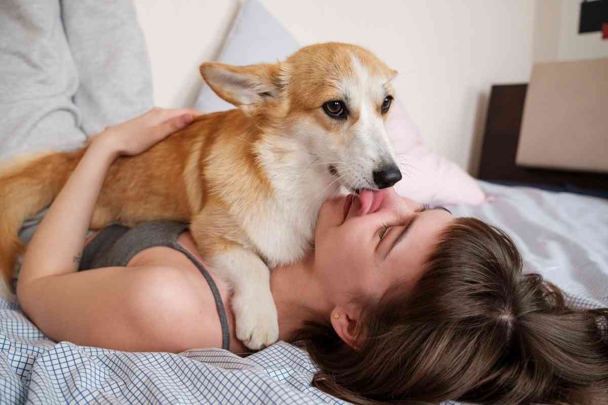 Why Do Dogs Lick Your Face When You Cry? Are The Empaths?! 2