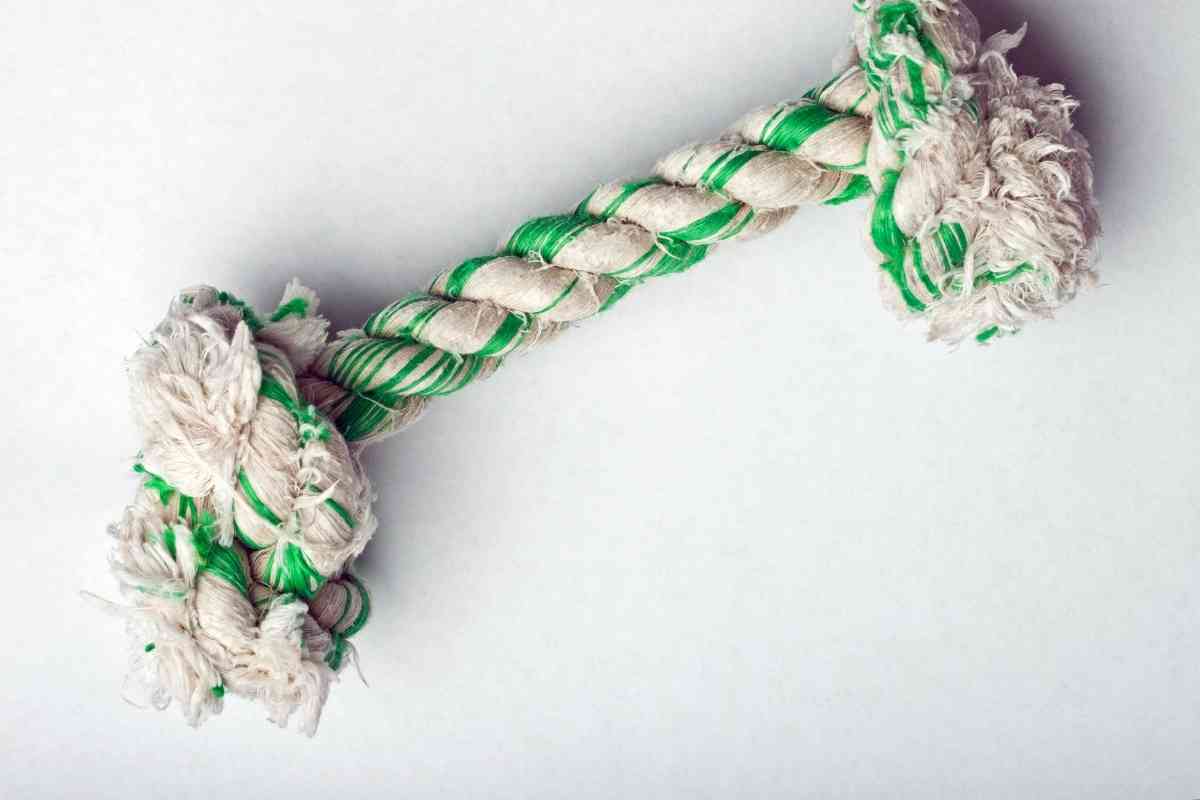 Why You Should Never Give A Puppy A Rope Toy 2