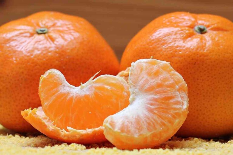 Can Puppies Eat Tangerines? Is Citrus Safe For Puppies?