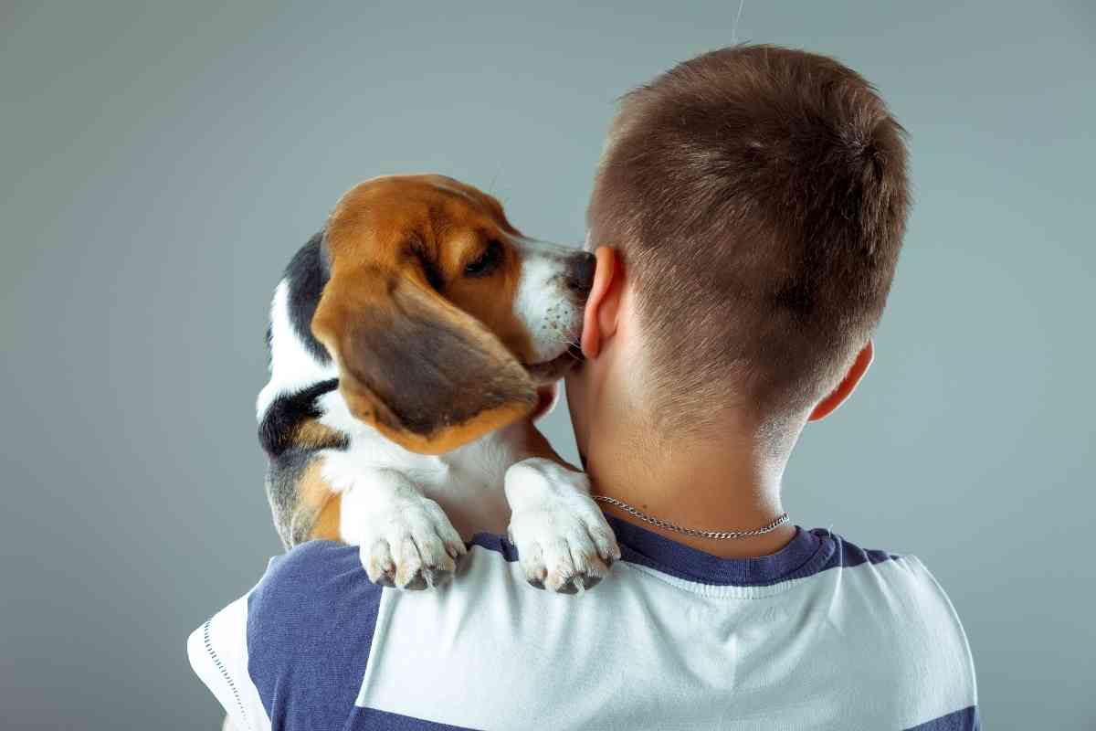 5 Reasons Why Your Puppy Bites Your Ears 1