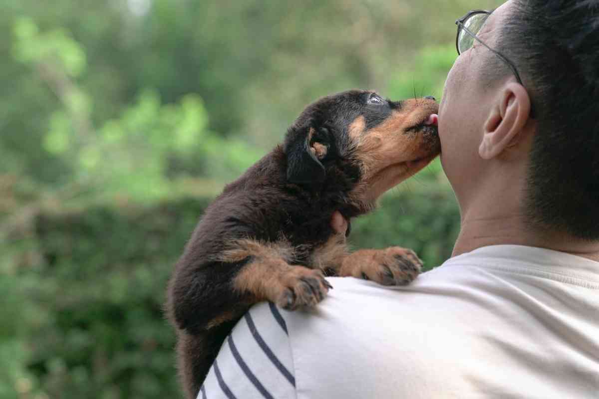 &Lt;Strong&Gt;10 Ways To Make Your Puppy Love You Forever&Lt;/Strong&Gt; 1