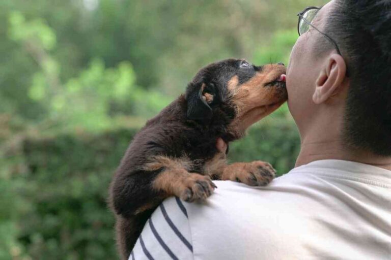 10 Ways To Make Your Puppy Love You Forever
