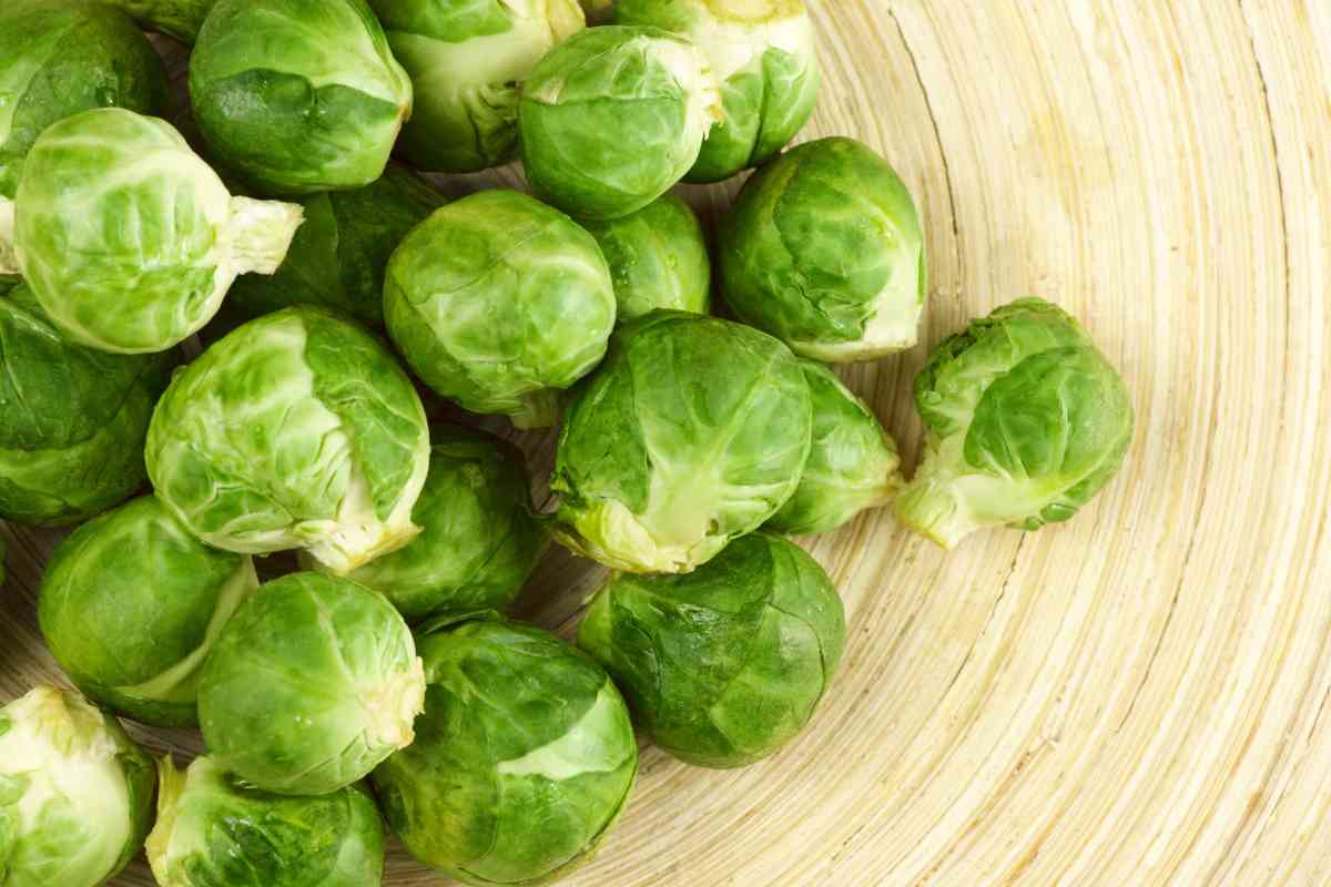 9 Benefits Of Giving Your Puppy Or Adult Dog Brussels Sprouts 1