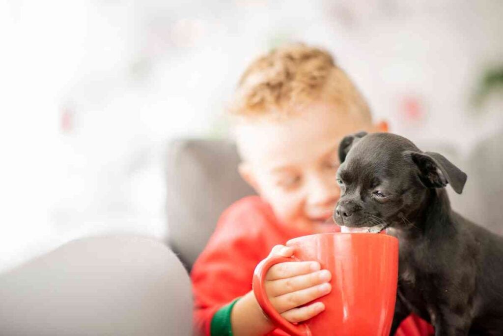 Giving Your Puppy Water For The First Time A StepByStep Guide