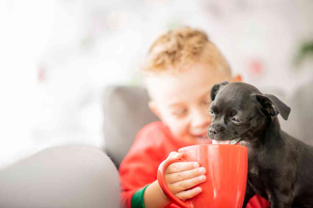 at what age can puppies start drinking water