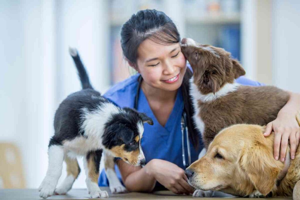 Puppy Shots At PetSmart Costs & CashSaving Tips Goldendoodle Advice