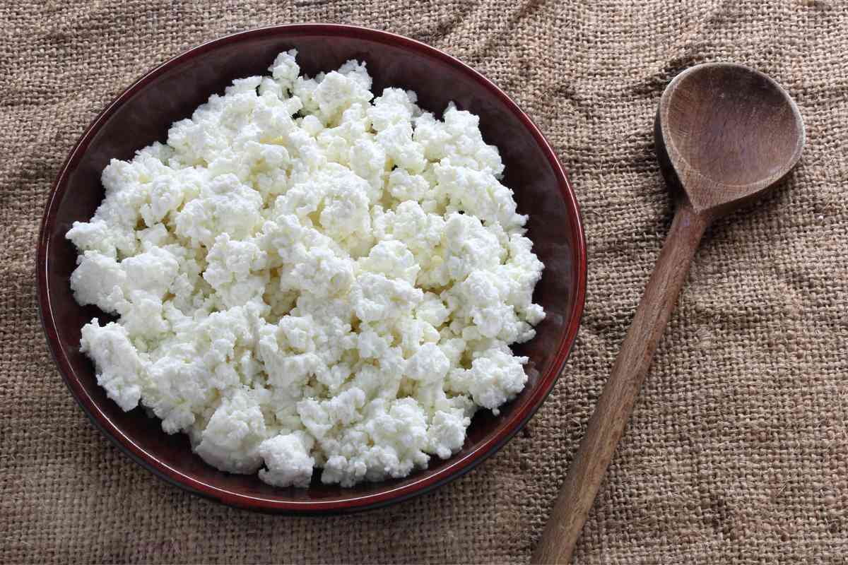 Can Puppies Eat Cottage Cheese? Benefits &Amp; Potential Risks 1