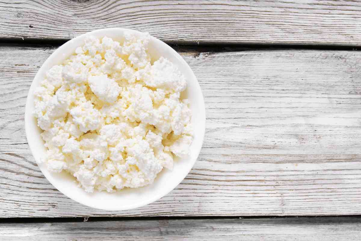 Can Puppies Eat Cottage Cheese? Benefits &Amp; Potential Risks 3