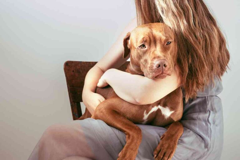 Why Does My Dog Lay On Top Of Me?