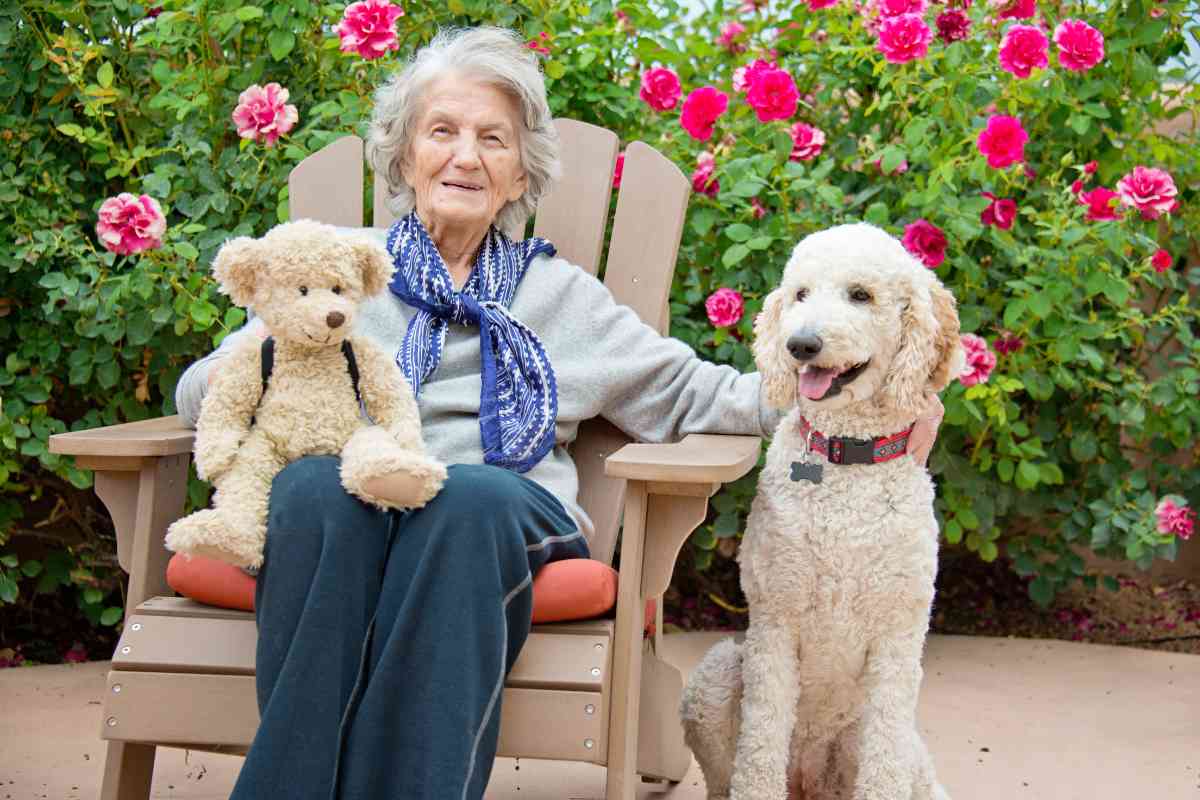 Goldendoodle Therapy Dog: 8 Reasons They'Re The Best 10