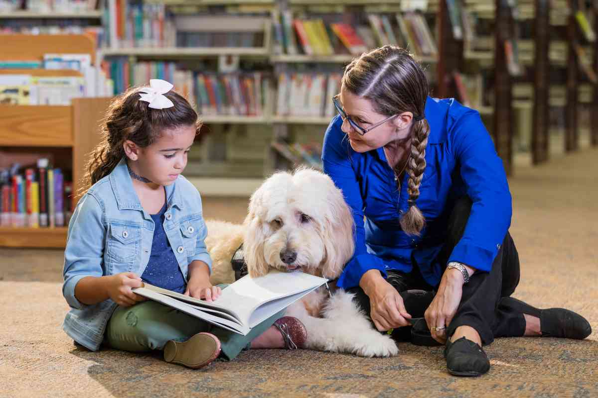 Goldendoodle Therapy Dog: 8 Reasons They're The Best - Goldendoodle Advice