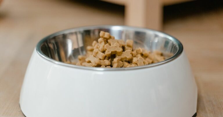Best Dog Food For Goldendoodles: Top Picks For Optimal Health